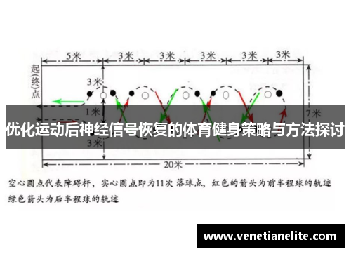 优化运动后神经信号恢复的体育健身策略与方法探讨